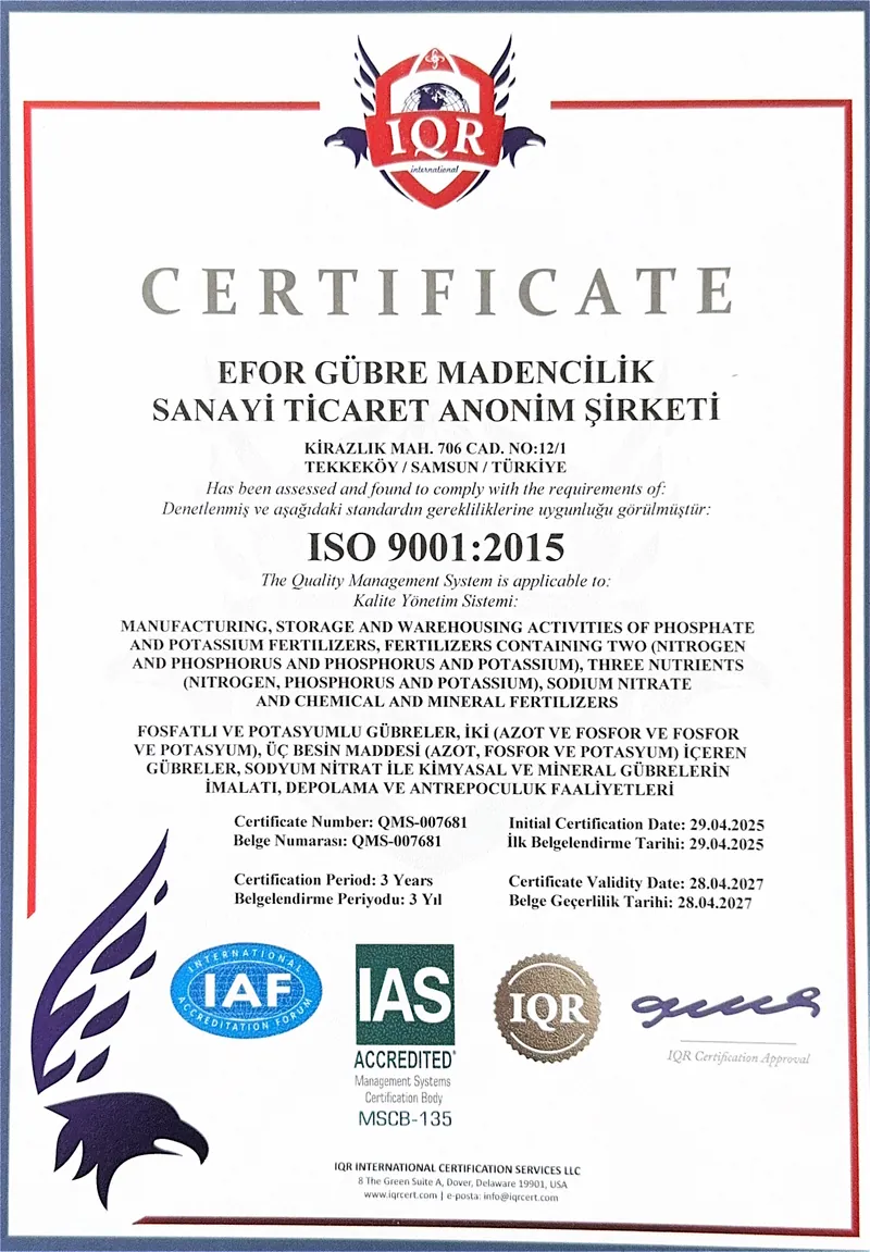ISO 9001:2015 sertifikası, belge no QMS-007681 — ilk sayfa